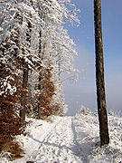 foto . 2