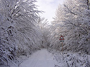 foto . 14