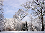 foto . 17