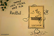 foto . 12