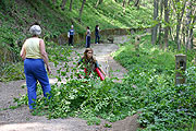 foto . 201