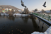 foto . 100