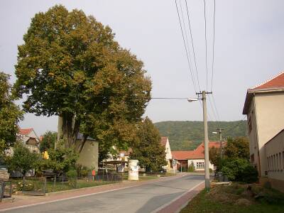 obr. 1