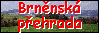 iko-brno3.gif