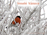 Vesel Vnoce